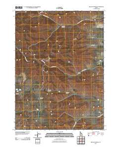 Ireland Springs 2010 topographic map thumbnail