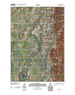 Lake Fork 2010 topographic map thumbnail