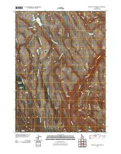 Indian Hay Meadows 2010 topographic map thumbnail