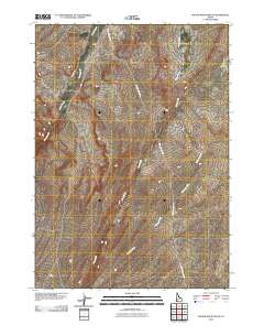 Rough Mountain NE 2010 topographic map thumbnail