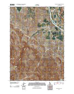 Opalene Gulch 2010 topographic map thumbnail