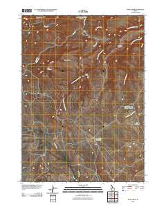 Snow Creek 2010 topographic map thumbnail