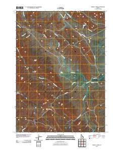 Grizzly Creek 2010 topographic map thumbnail
