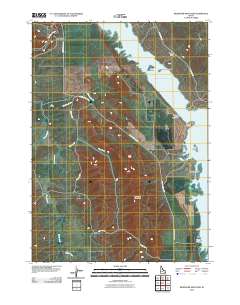 Reservoir Mountain 2010 topographic map thumbnail