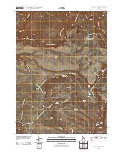 Pleasant Valley 2010 topographic map thumbnail