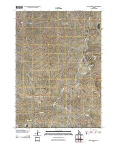 Little Joe Butte 2010 topographic map thumbnail