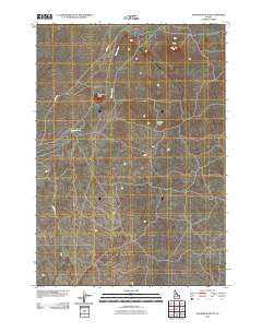 Snowshoe Butte 2010 topographic map thumbnail
