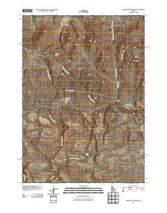 Dempsey Meadows 2010 topographic map thumbnail