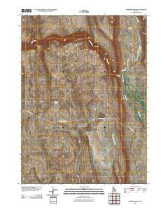 Juniper Basin SE 2010 topographic map thumbnail