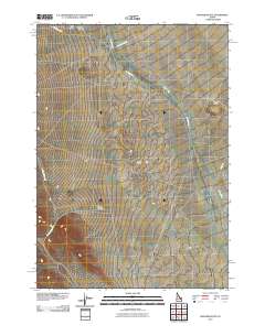 Richard Butte 2010 topographic map thumbnail