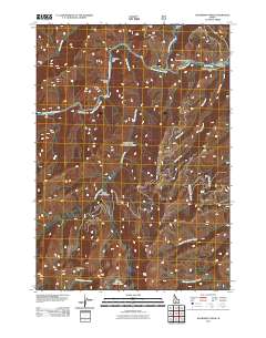 Boardman Creek 2011 topographic map thumbnail