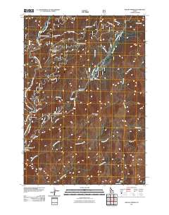 Boiling Springs 2011 topographic map thumbnail