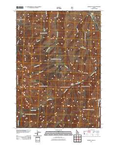 Bowery Peak 2011 topographic map thumbnail