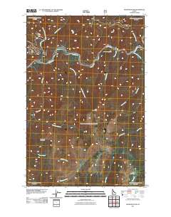 Bear Mountain 2011 topographic map thumbnail