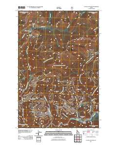 Cayuse Junction 2011 topographic map thumbnail