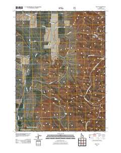 Buist 2011 topographic map thumbnail