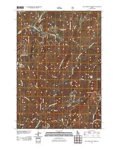 Bull Creek Hot Springs 2011 topographic map thumbnail