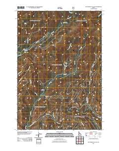 Butterfield Gulch 2011 topographic map thumbnail