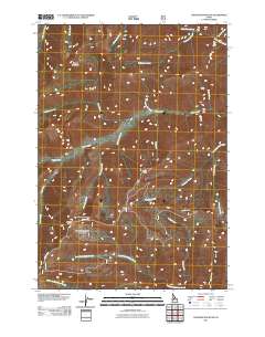 Chinook Mountain 2011 topographic map thumbnail