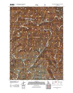Dollarhide Mountain 2011 topographic map thumbnail