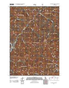 Elevenmile Creek 2011 topographic map thumbnail