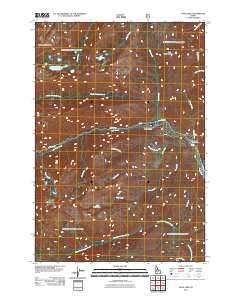 Enos Lake 2011 topographic map thumbnail