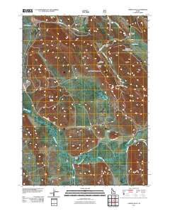 Lower Valley 2011 topographic map thumbnail