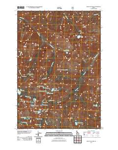 Mount McGuire 2011 topographic map thumbnail