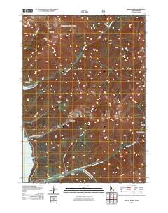 Mount Baird 2011 topographic map thumbnail