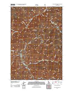 Pine Creek Rapids 2011 topographic map thumbnail