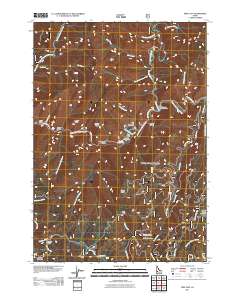 Pine Flat 2011 topographic map thumbnail