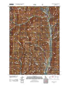 Newman Peak 2011 topographic map thumbnail