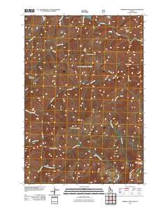 Mormon Mountain 2011 topographic map thumbnail