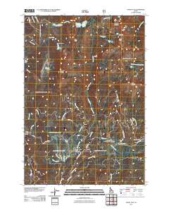 Paddy Flat 2011 topographic map thumbnail