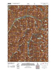 Nahneke Mountain 2011 topographic map thumbnail