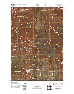 Patrick Butte 2011 topographic map thumbnail