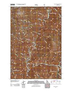 Pilot Peak 2011 topographic map thumbnail