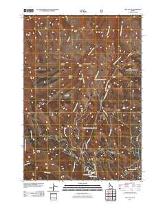 Neil Gulch 2011 topographic map thumbnail