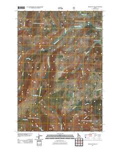 Mosquito Peak 2011 topographic map thumbnail