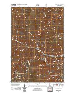 Selway Falls 2011 topographic map thumbnail