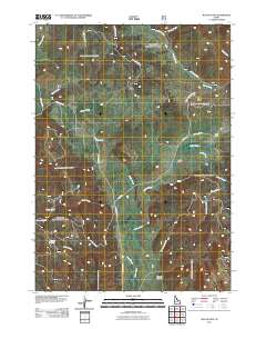 Wayan East 2011 topographic map thumbnail