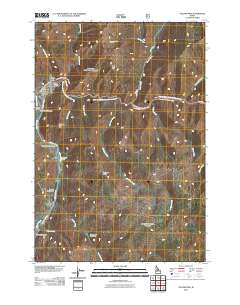 Yellow Pine 2011 topographic map thumbnail