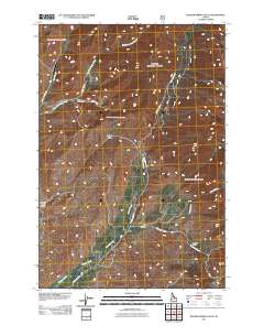 Badger Spring Gulch 2011 topographic map thumbnail
