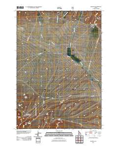 Nicholia 2011 topographic map thumbnail