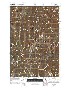 Lick Point 2011 topographic map thumbnail