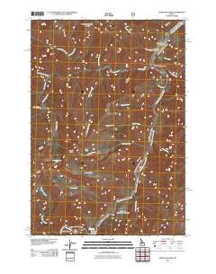 Artillery Dome 2011 topographic map thumbnail