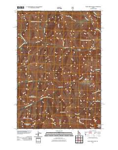 Bear Creek Point 2011 topographic map thumbnail