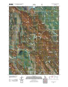 Wayan West 2011 topographic map thumbnail