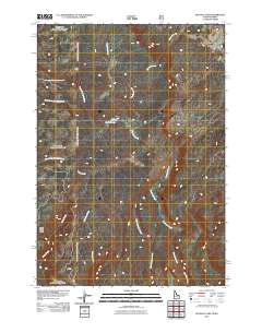 Buffalo Lake 2011 topographic map thumbnail