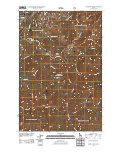 Bathtub Mountain 2011 topographic map thumbnail